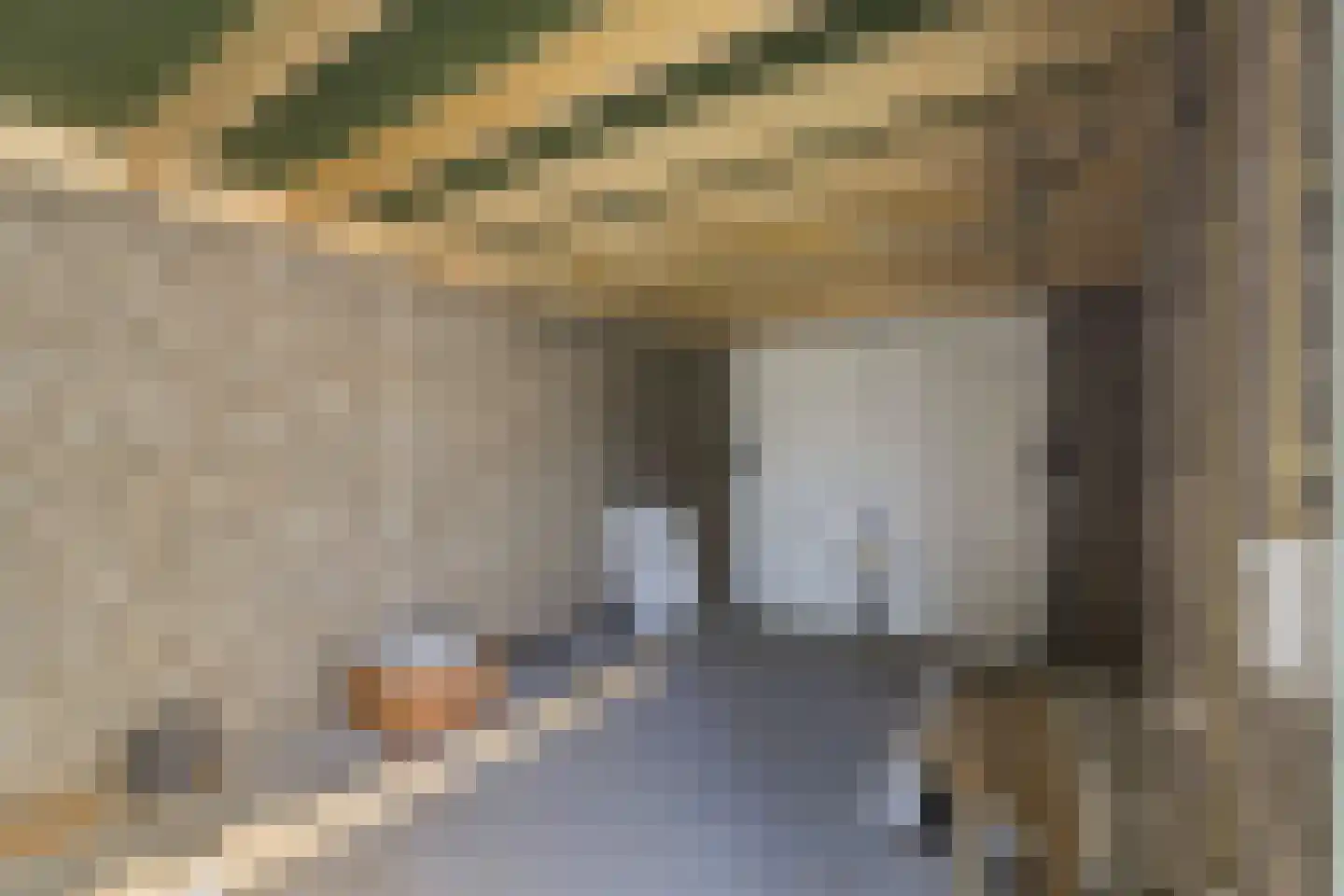 Teunisbloem 13 Stroe thumbnail 32