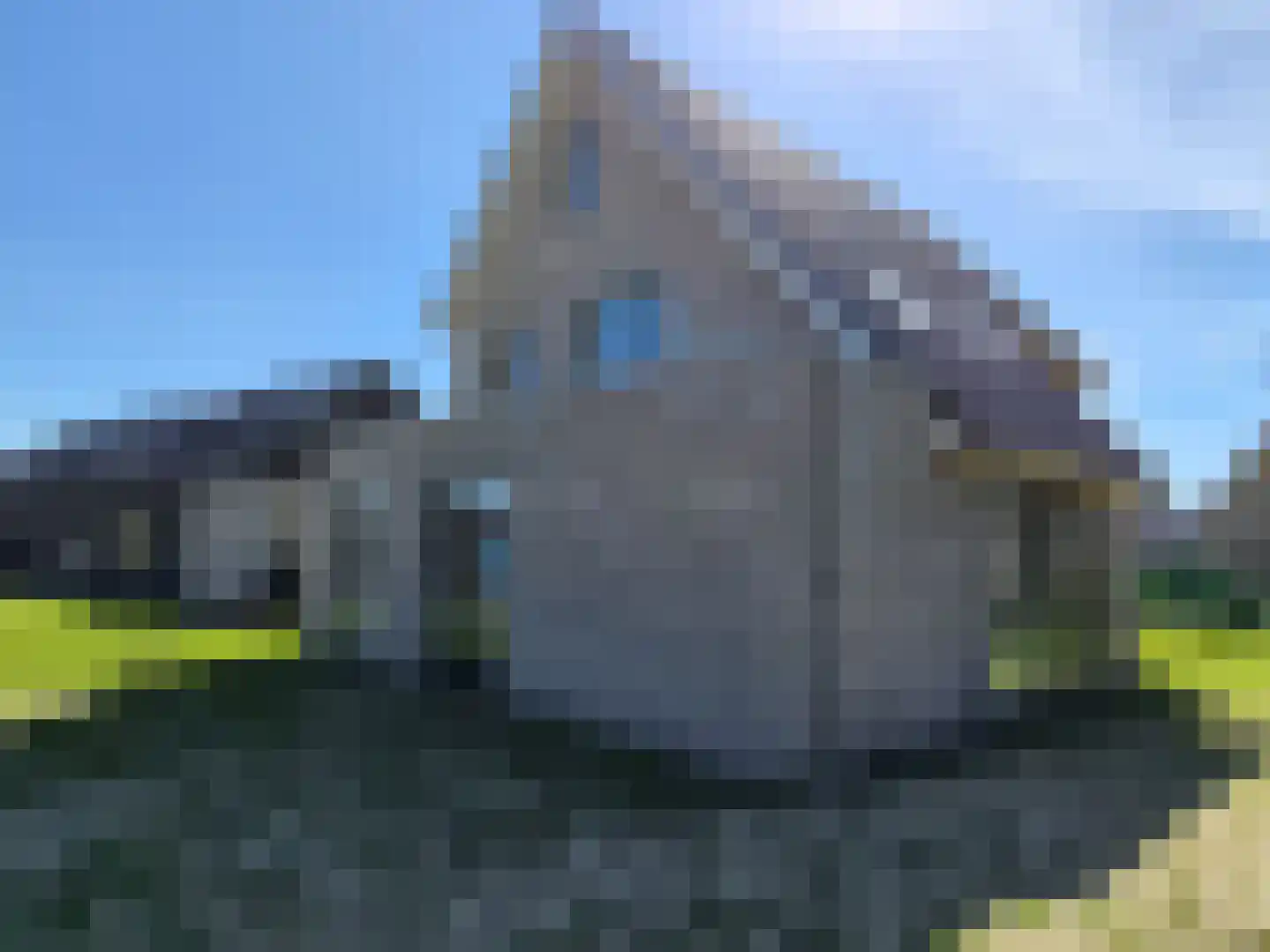 Teunisbloem 13 Stroe thumbnail 34