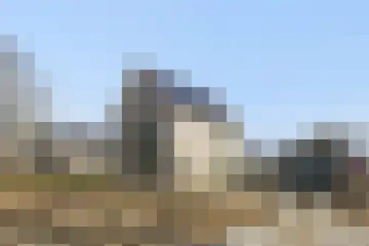 Teunisbloem 13 Stroe thumbnail 35