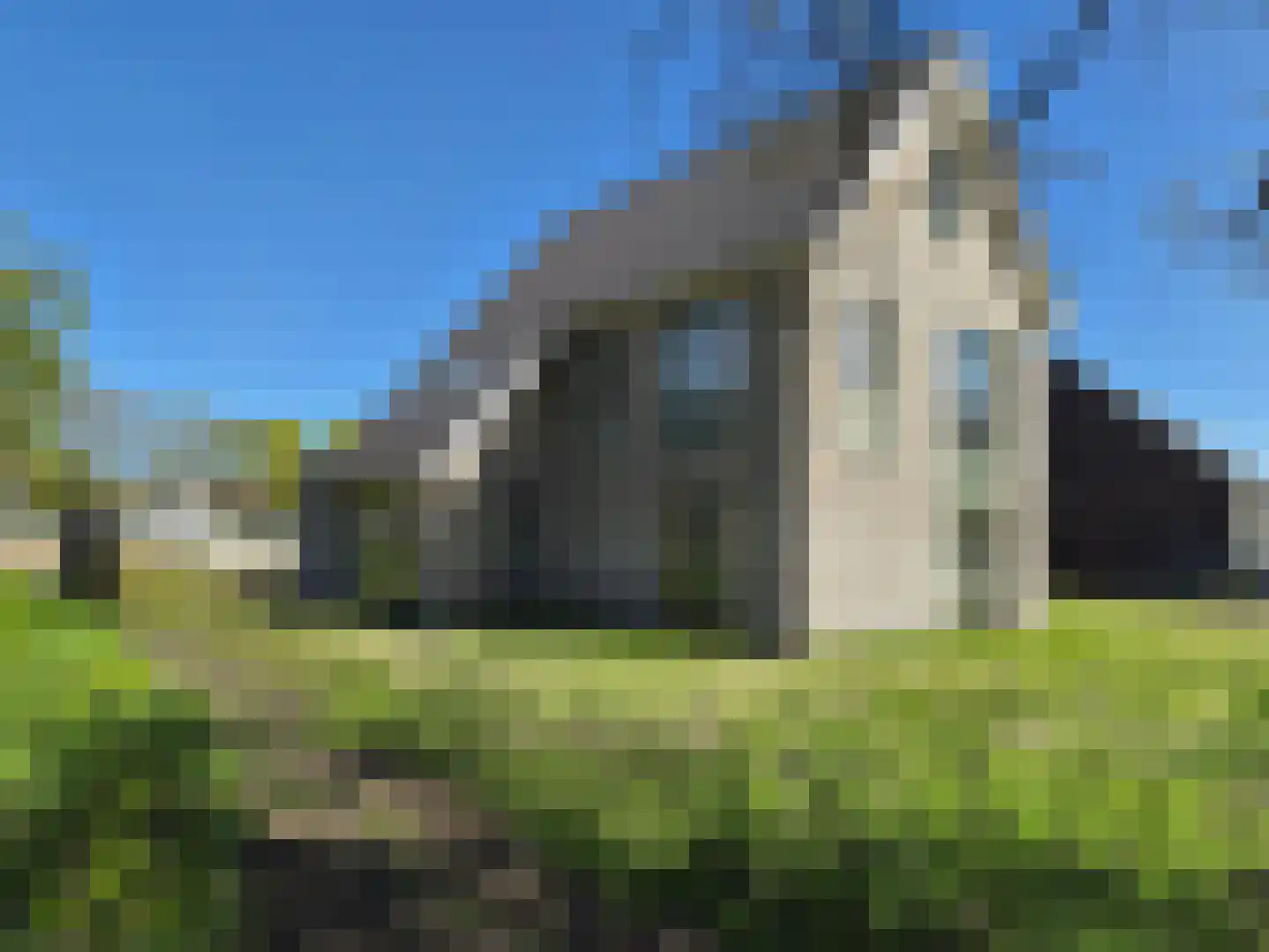 Teunisbloem 13 Stroe thumbnail 36