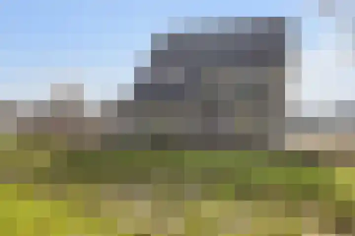 Teunisbloem 13 Stroe thumbnail 36