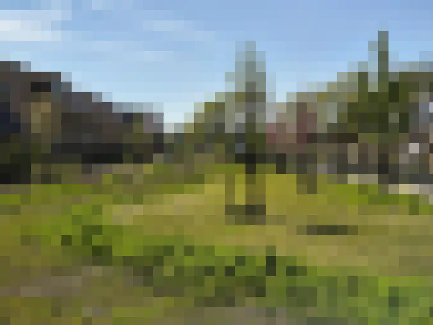 Teunisbloem 13 Stroe thumbnail 39