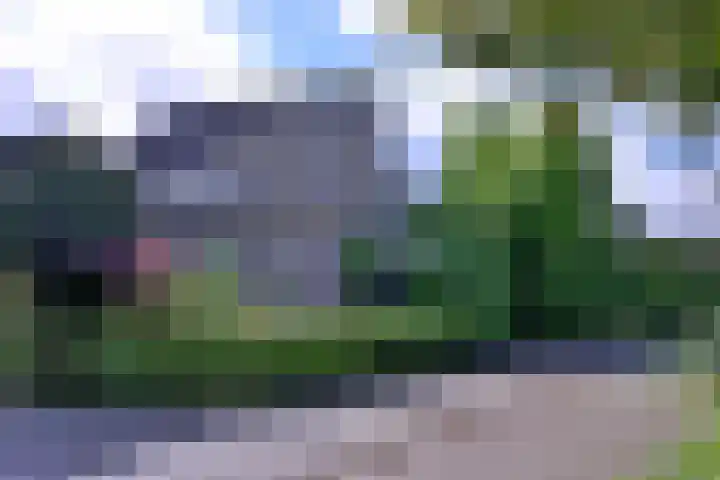 Teunisbloem 2 in Deventer