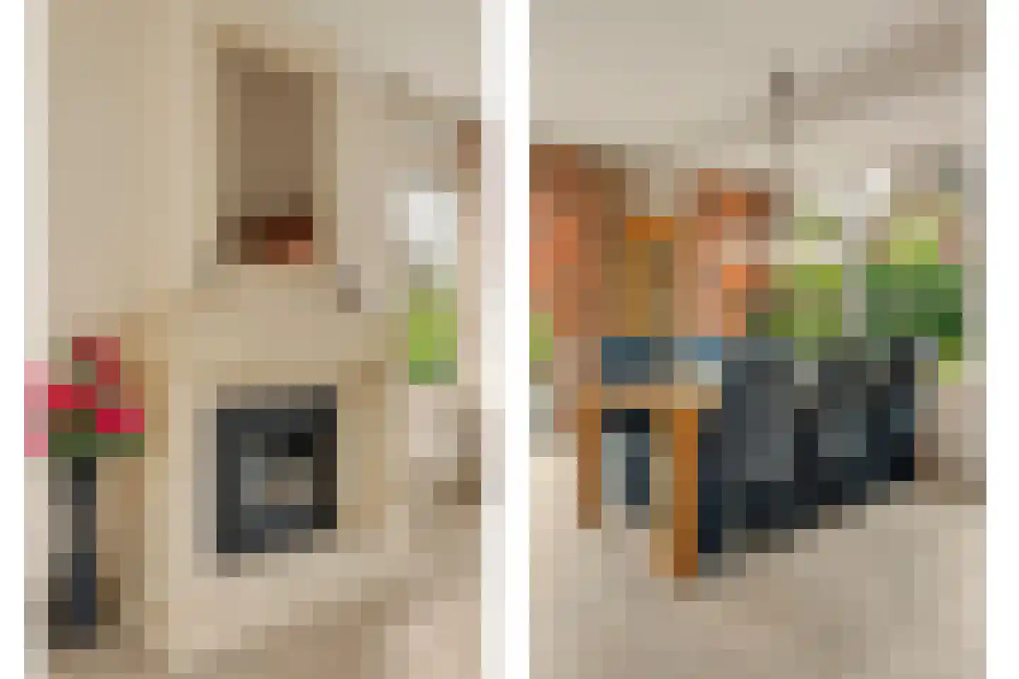 Teunisbloem 2 Kapelle thumbnail 16