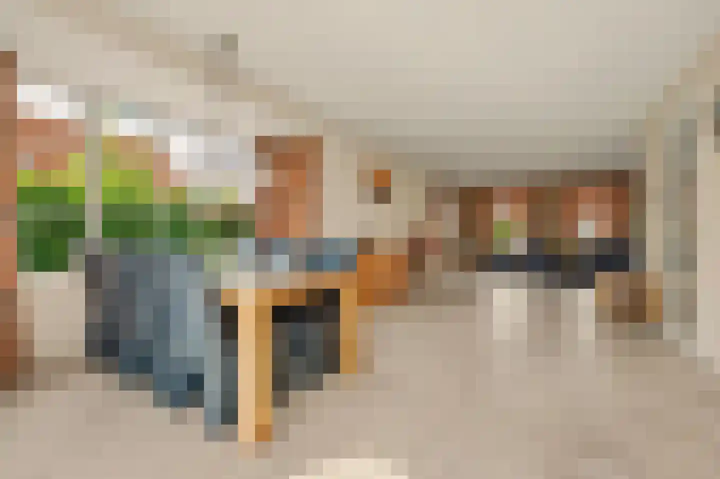 Teunisbloem 2 Kapelle thumbnail 17