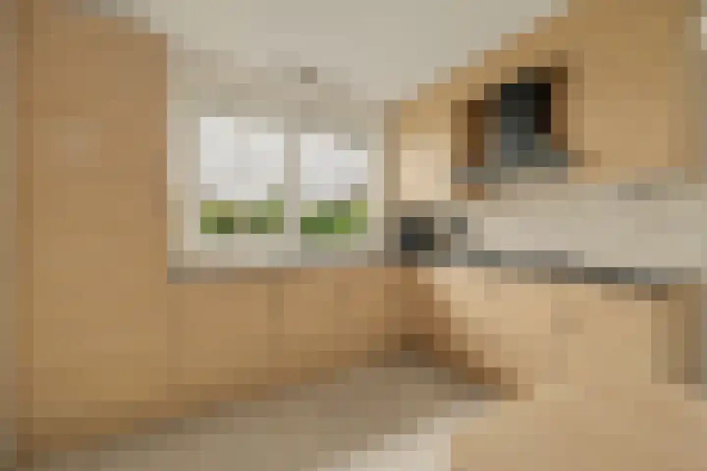 Teunisbloem 2 Kapelle thumbnail 23