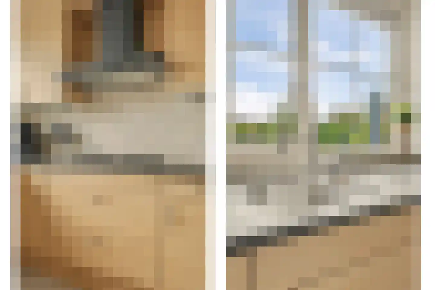 Teunisbloem 2 Kapelle thumbnail 25