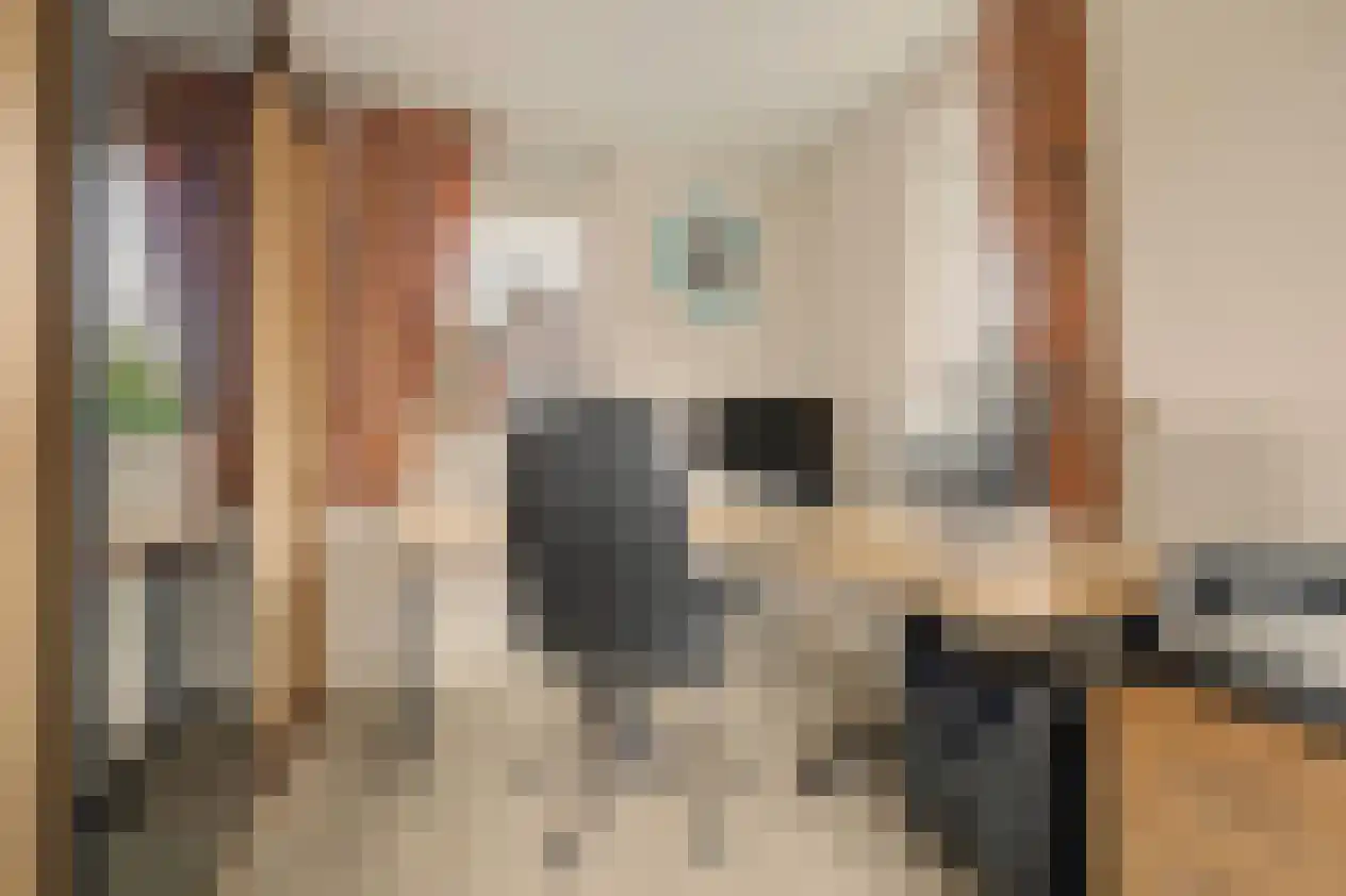 Teunisbloem 2 Kapelle thumbnail 30