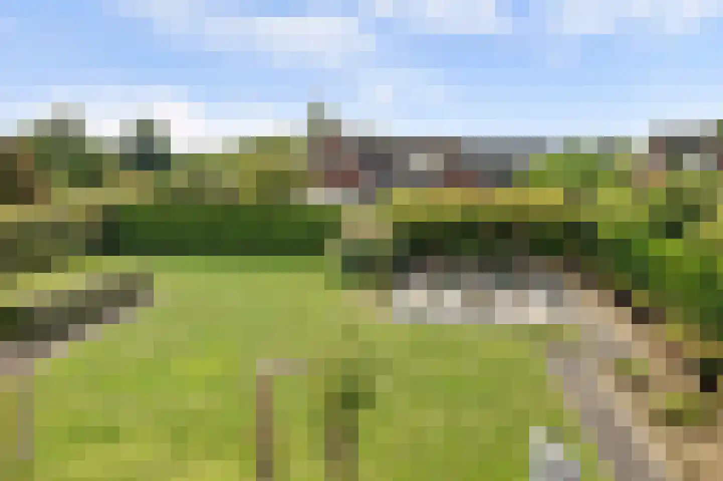 Teunisbloem 2 Kapelle thumbnail 4
