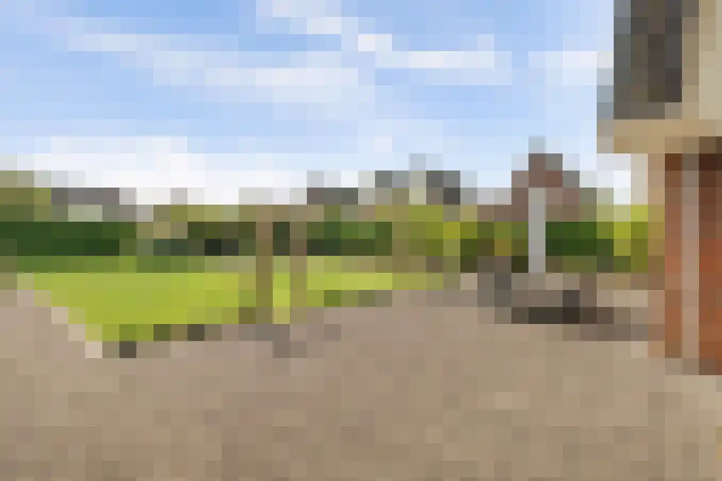 Teunisbloem 2 Kapelle thumbnail 42