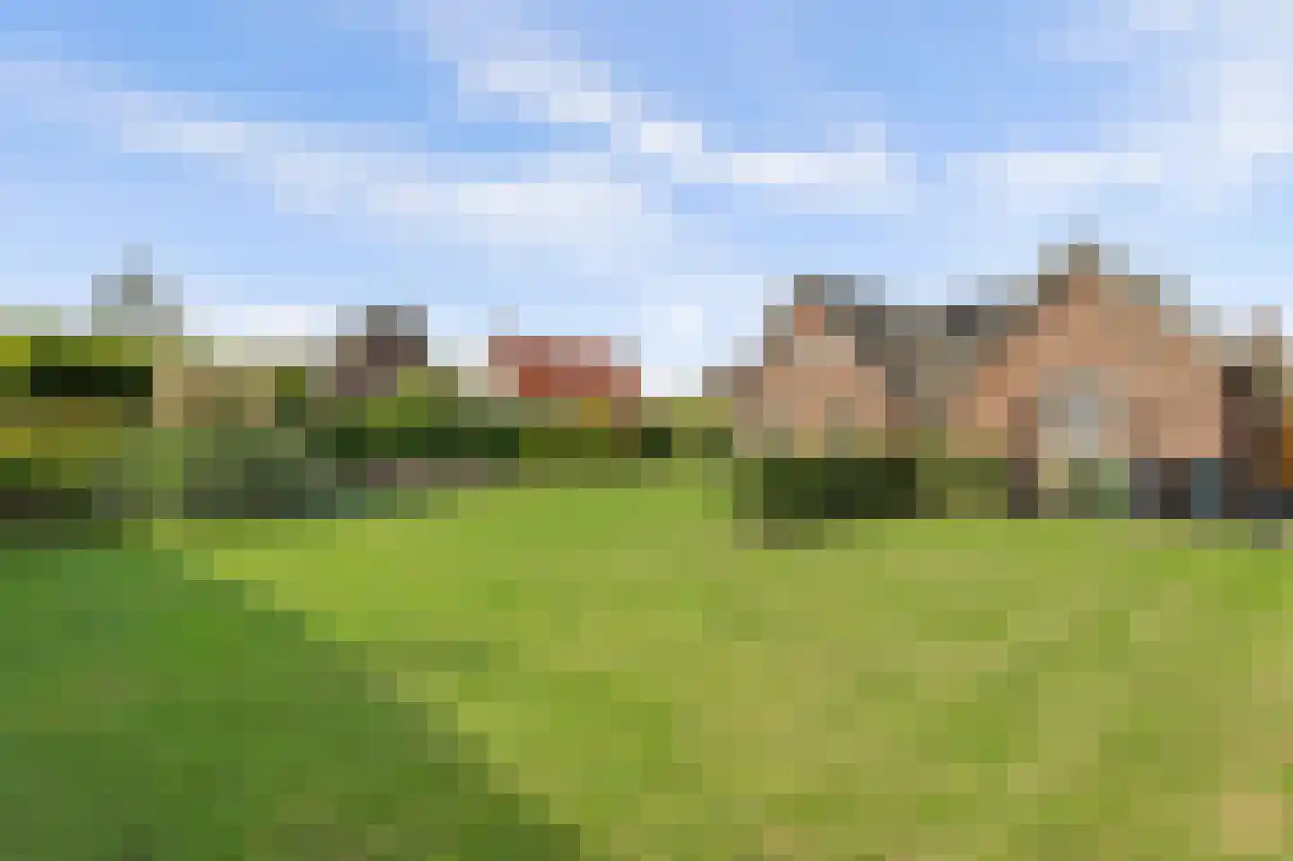 Teunisbloem 2 Kapelle thumbnail 46