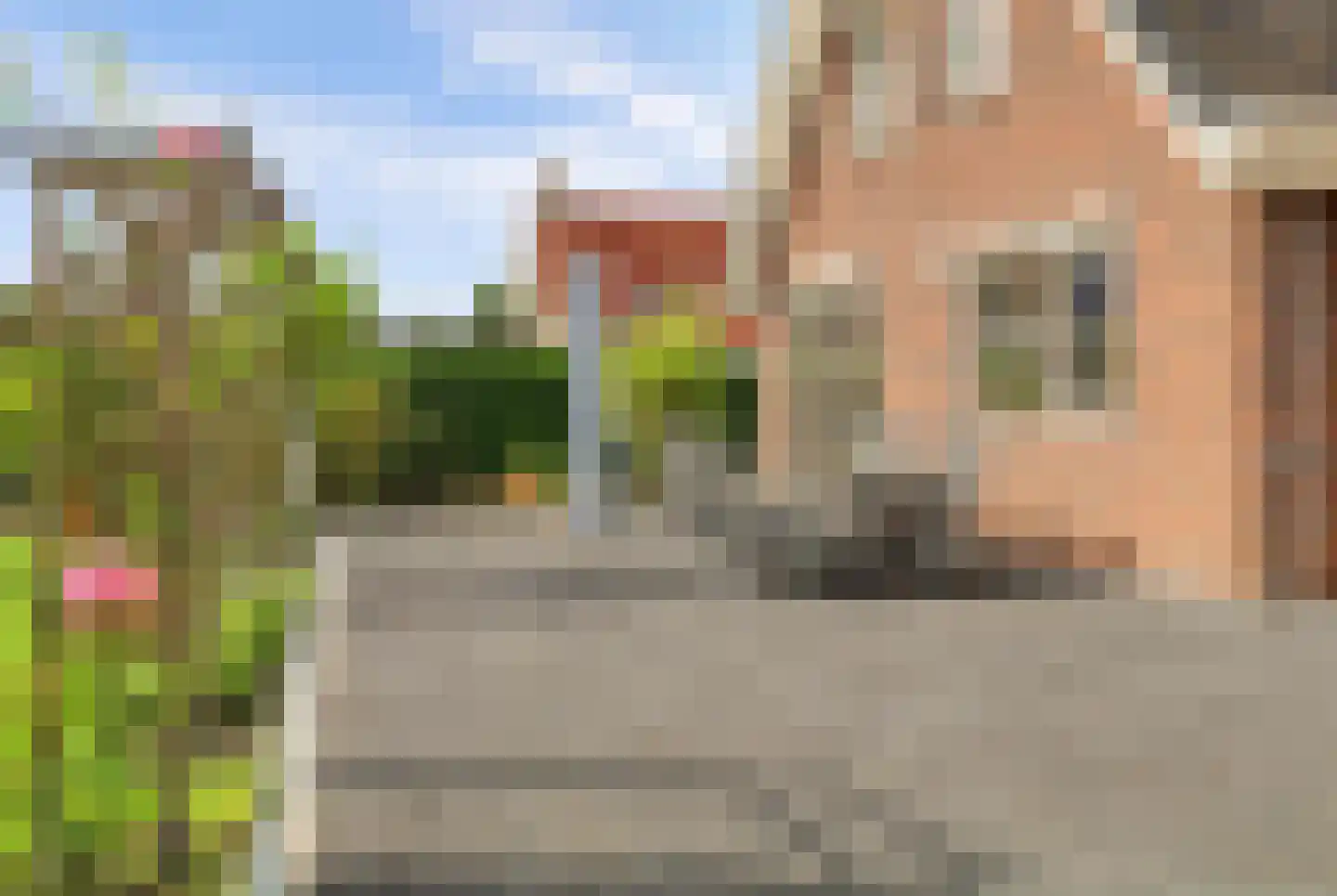 Teunisbloem 2 Kapelle thumbnail 49
