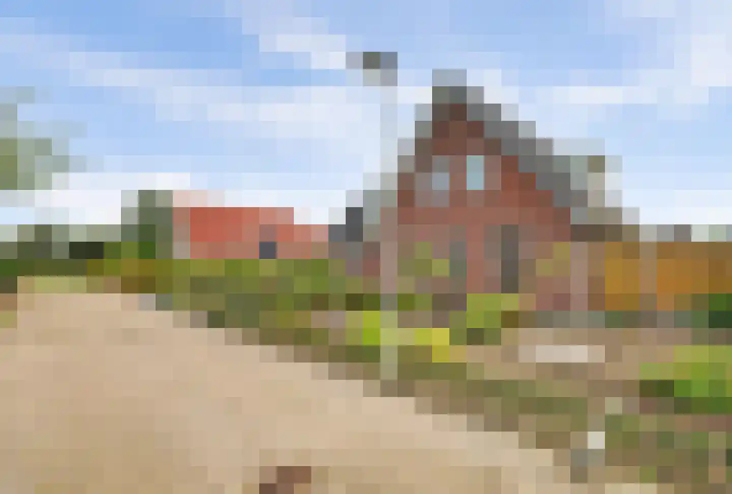 Teunisbloem 2 Kapelle thumbnail 53