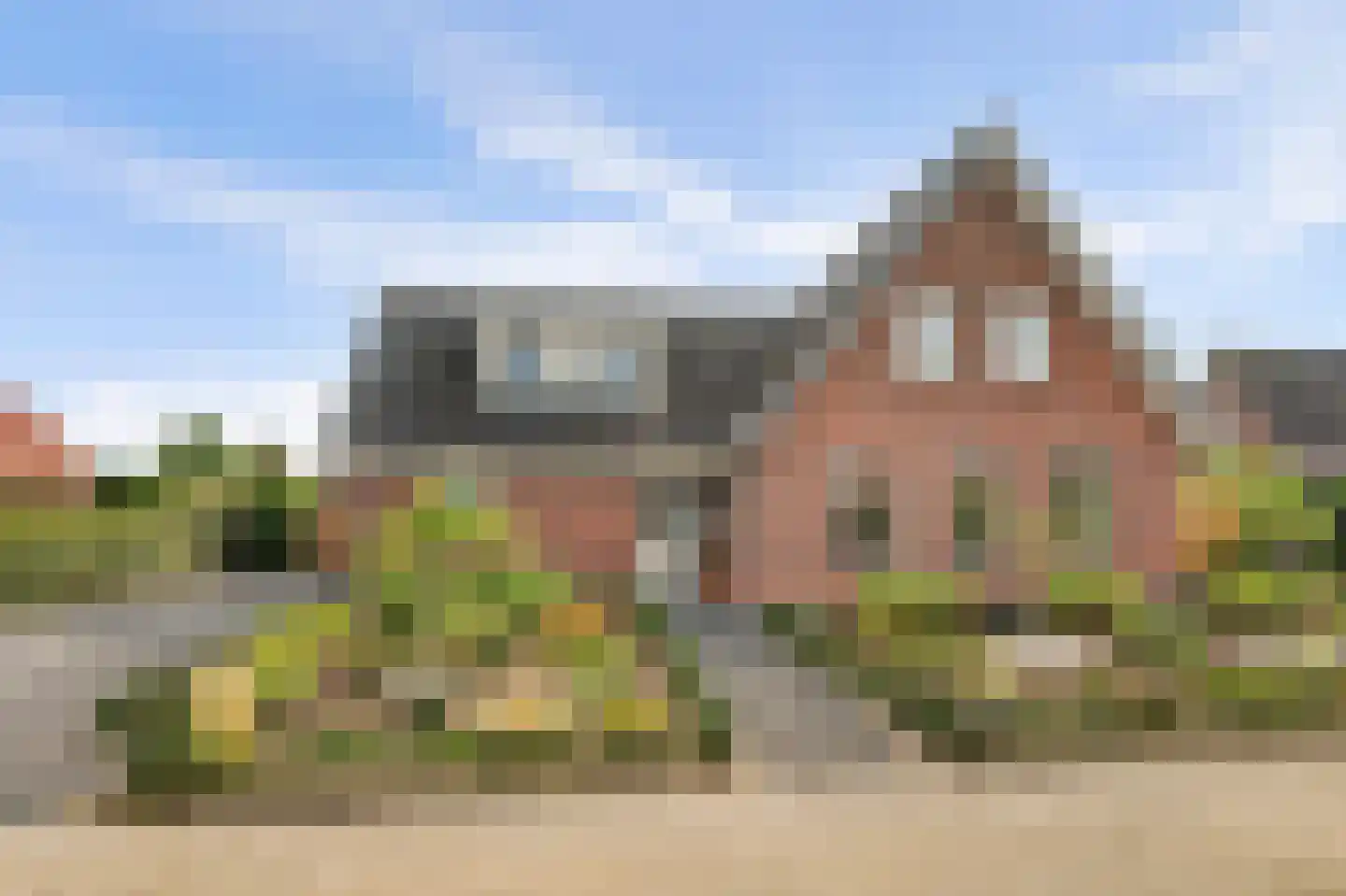 Teunisbloem 2 Kapelle thumbnail 54