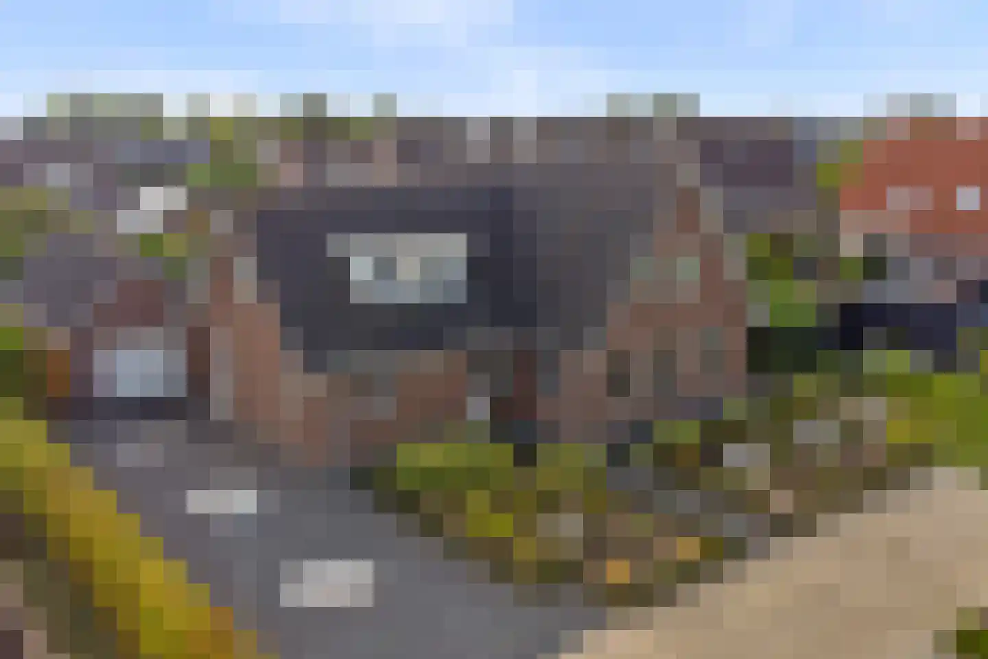 Teunisbloem 2 Kapelle thumbnail 56
