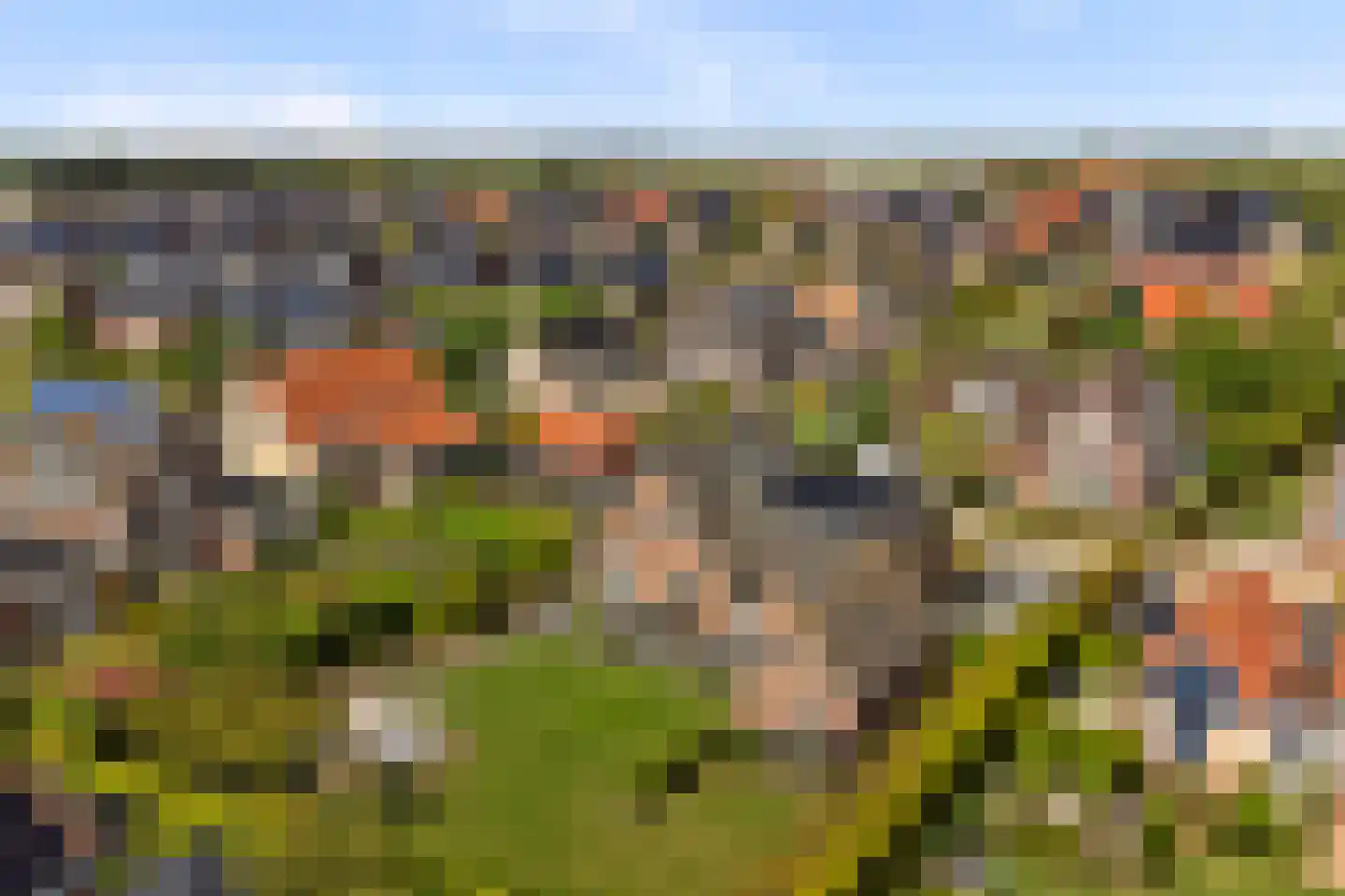 Teunisbloem 2 Kapelle thumbnail 65