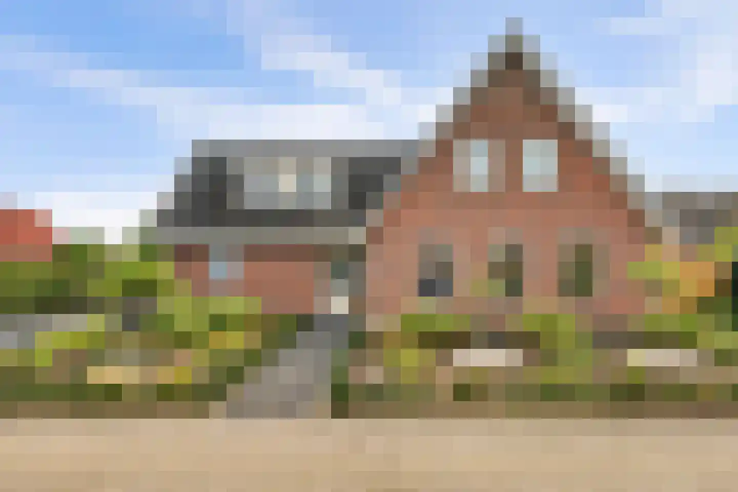 Teunisbloem 2 Kapelle thumbnail 7