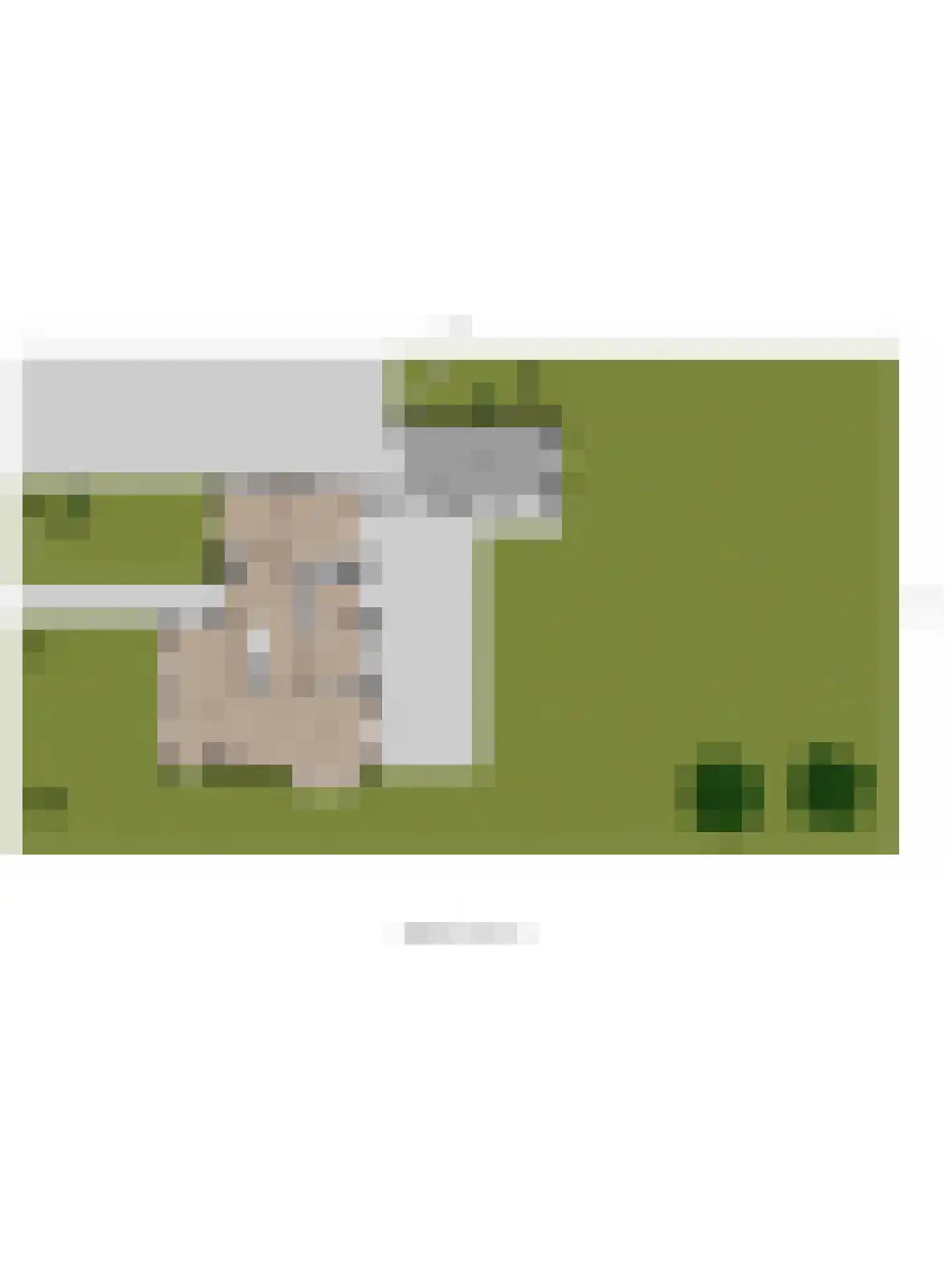 Teunisbloem 2 Kapelle thumbnail 73