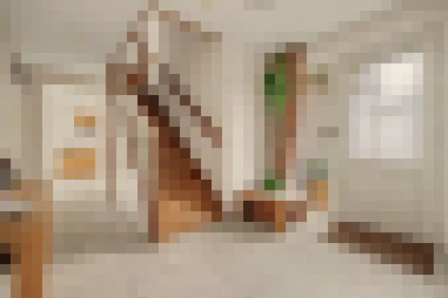 Teunisbloem 2 Kapelle thumbnail 8