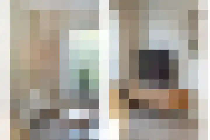 Teunisbloem 20 Dalfsen thumbnail 10