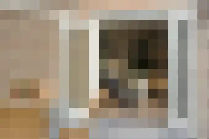 Teunisbloem 20 Dalfsen thumbnail 11