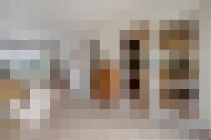 Teunisbloem 20 Dalfsen thumbnail 12
