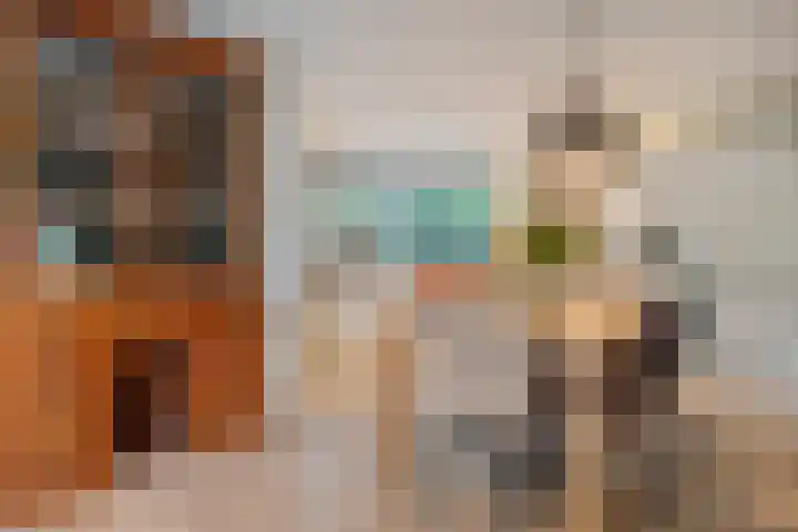 Teunisbloem 20 Dalfsen thumbnail 13