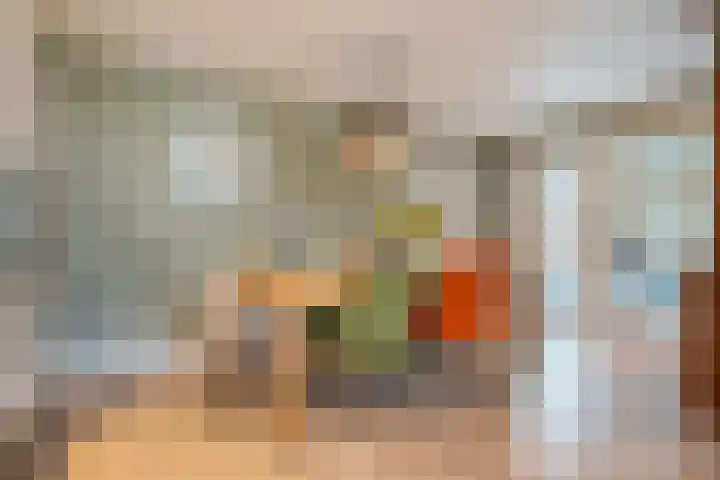 Teunisbloem 20 Dalfsen thumbnail 14