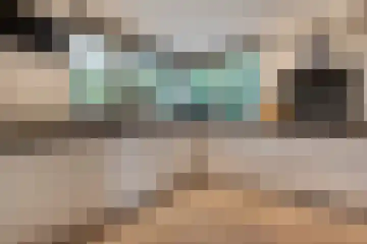 Teunisbloem 20 Dalfsen thumbnail 15