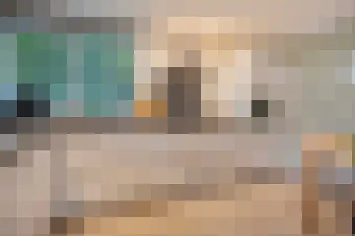 Teunisbloem 20 Dalfsen thumbnail 16