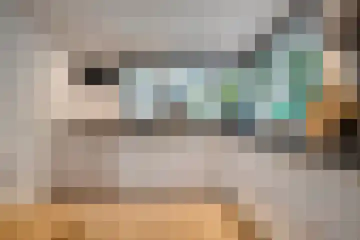 Teunisbloem 20 Dalfsen thumbnail 17