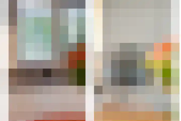 Teunisbloem 20 Dalfsen thumbnail 18