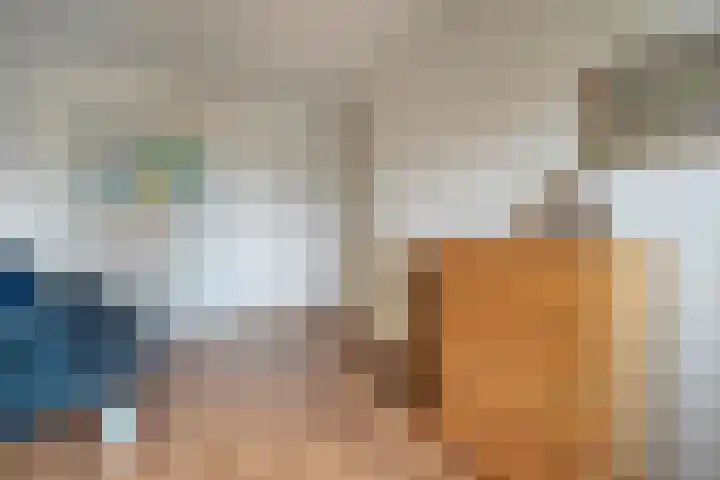 Teunisbloem 20 Dalfsen thumbnail 24