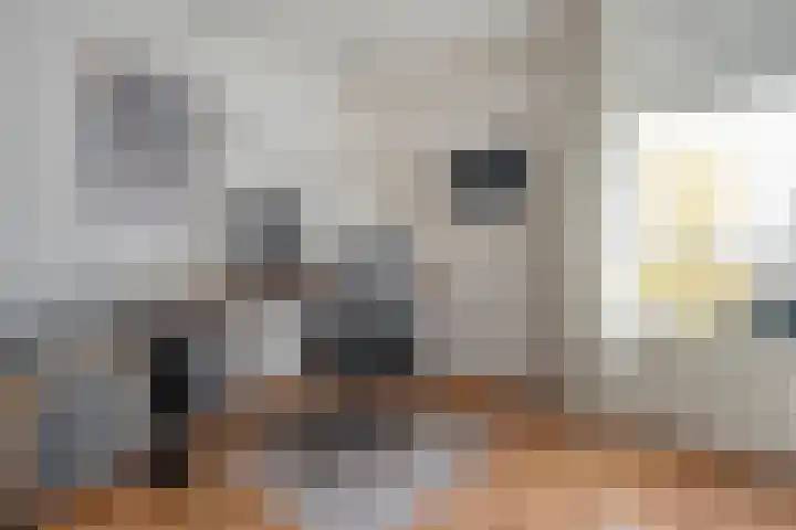 Teunisbloem 20 Dalfsen thumbnail 26