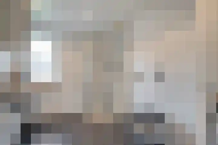 Teunisbloem 20 Dalfsen thumbnail 28