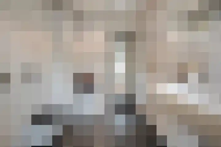 Teunisbloem 20 Dalfsen thumbnail 29