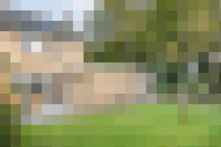 Teunisbloem 20 Dalfsen thumbnail 36