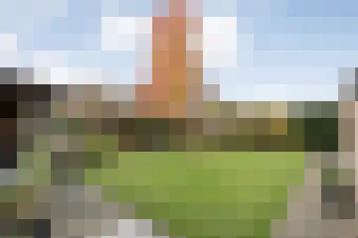 Teunisbloem 20 Dalfsen thumbnail 38