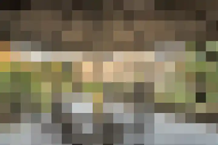 Teunisbloem 20 Dalfsen thumbnail 40