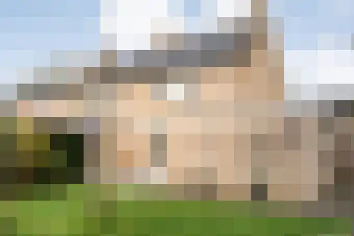 Teunisbloem 20 Dalfsen thumbnail 41