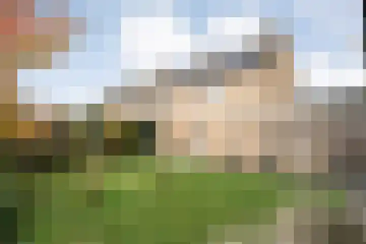 Teunisbloem 20 Dalfsen thumbnail 42