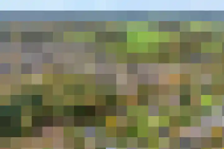 Teunisbloem 20 Dalfsen thumbnail 51