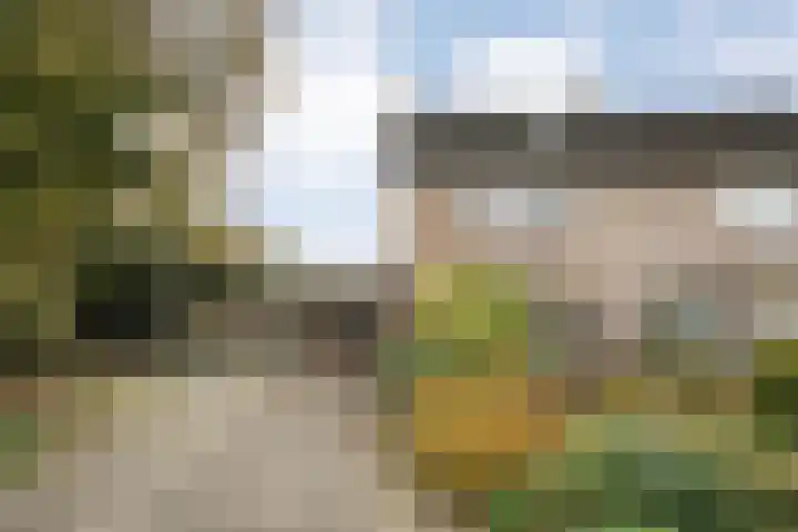 Teunisbloem 20 Dalfsen thumbnail 55
