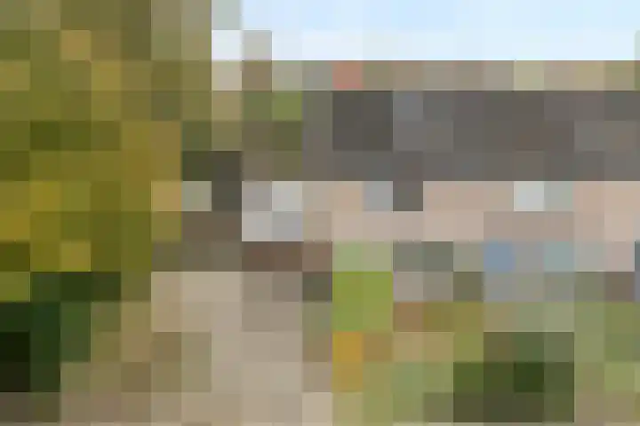 Teunisbloem 20 Dalfsen thumbnail 56