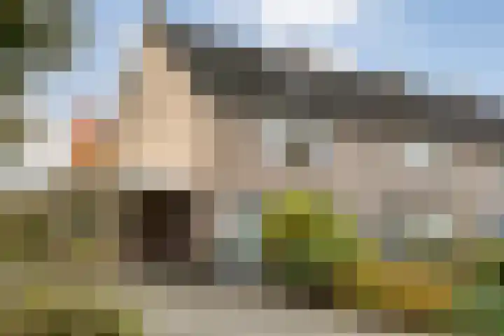 Teunisbloem 20 Dalfsen thumbnail 57