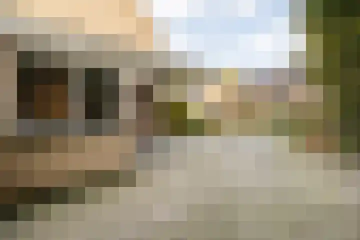 Teunisbloem 20 Dalfsen thumbnail 59
