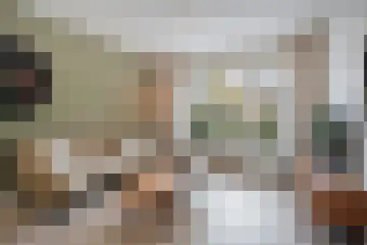 Teunisbloem 20 Dalfsen thumbnail 6