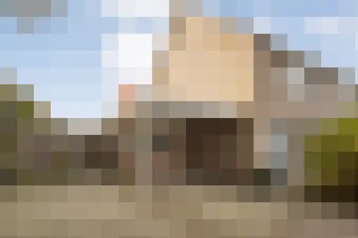 Teunisbloem 20 Dalfsen thumbnail 60