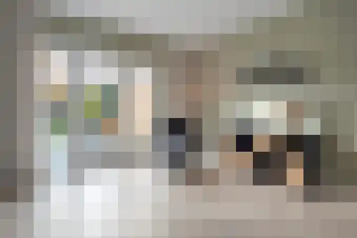 Teunisbloem 20 Dalfsen thumbnail 8