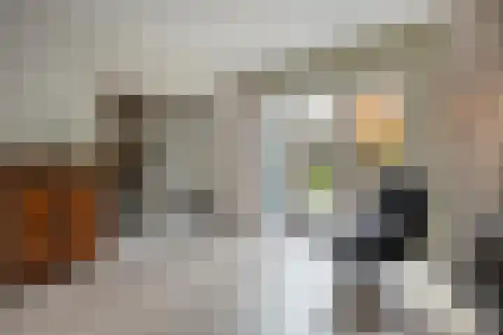 Teunisbloem 20 Dalfsen thumbnail 9